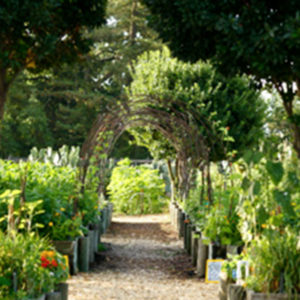 Gardens at Mustards Restaurant